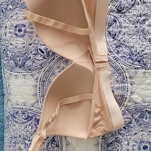 36C Lively Bra - Picture 2 of 4